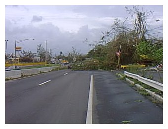 La Caida De Arboles Y Escombros Cerraron El Paso De La Mayor�a De Las Carreteras